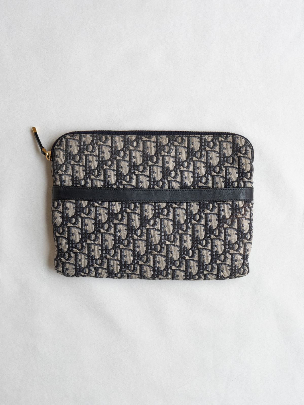 Dior Cloth Cluth Bag